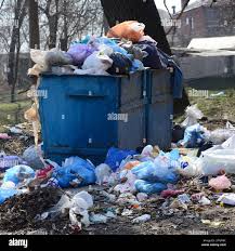Best Recycling Services for Junk  in Anoka, MN